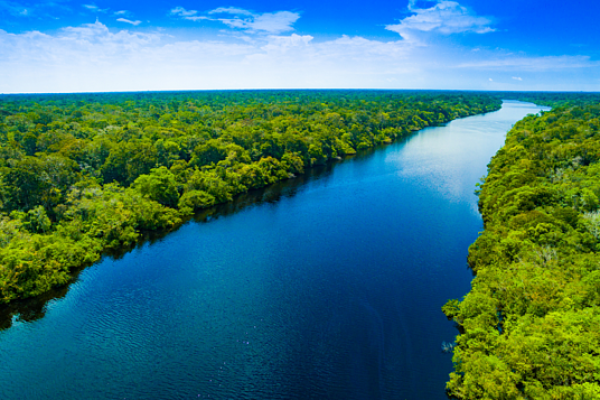Vista aérea da floresta amazônica