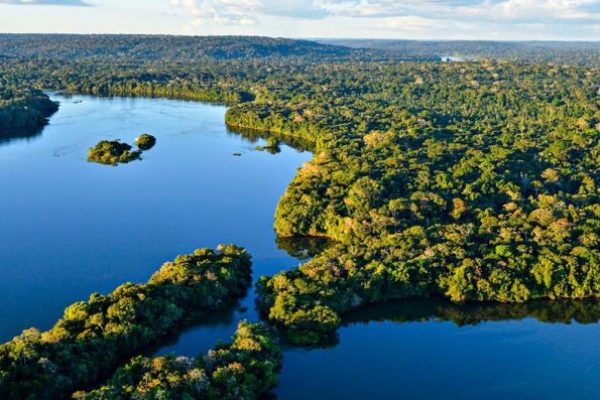 Rio em meio à floresta